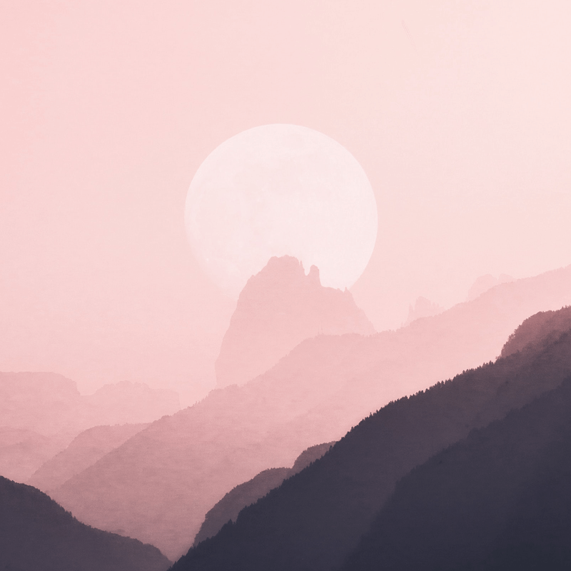 <strong>图书排版</strong>设计怎样可以提高读者的兴趣?